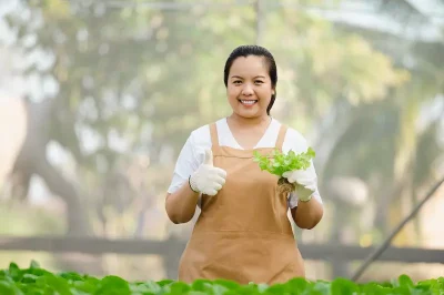 Peluang Usaha Berkebun Hidroponik